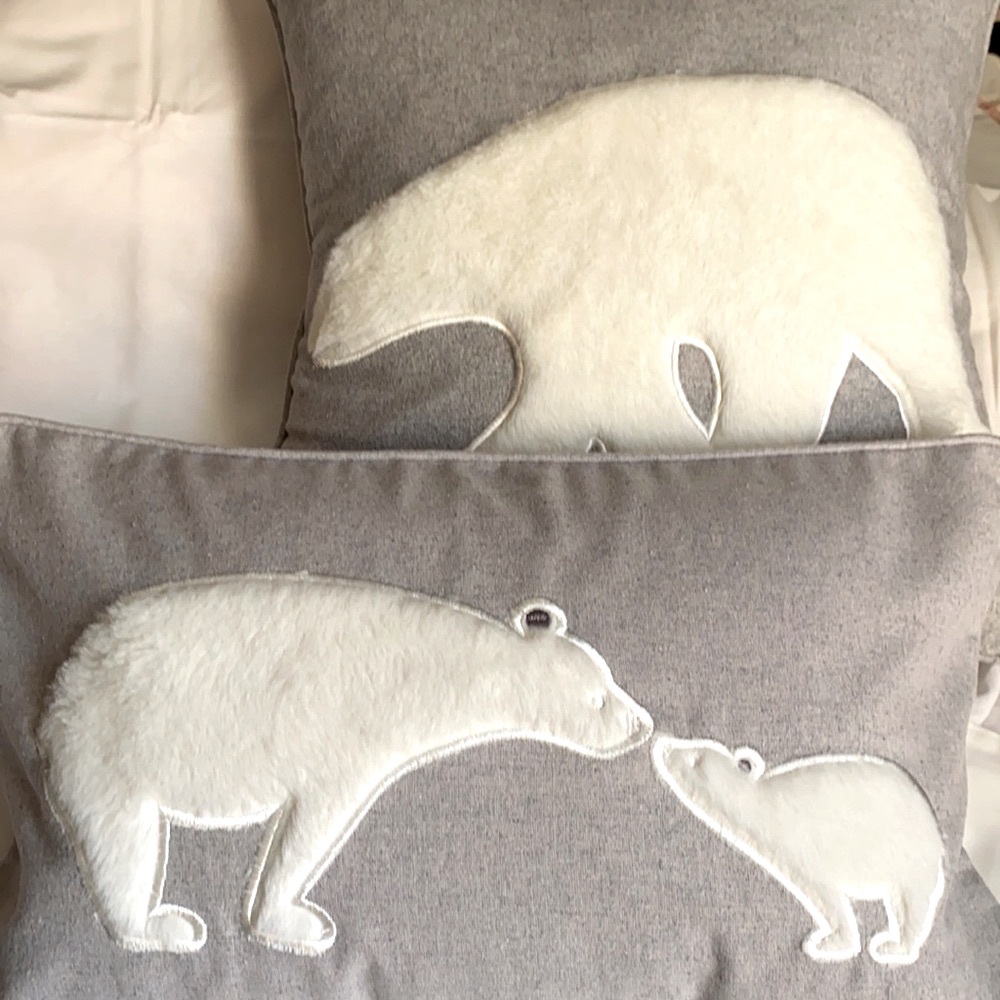 Two Decorative Cushion Covers  NWT